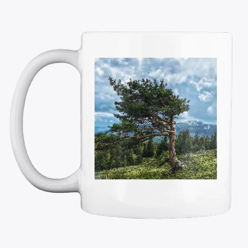 Bulgaria-mountain tree