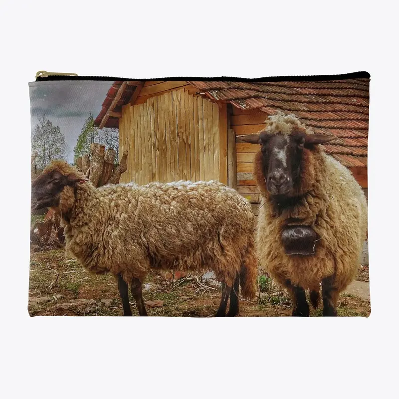 Bulgarian sheep